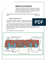 443797581 Membrana Citoplasmatica PDF