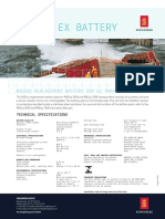 Datasheet Radiusexbattery