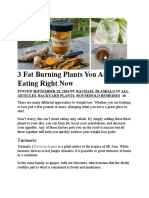 3 Fat Burning Plants