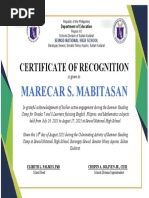 BSP Certificate of Participation | PDF