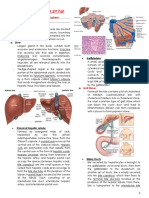 Reviewer Anaphy Lec Digestive System 2nd Part