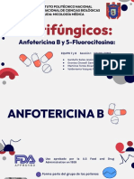 Anfotericina B y 5-Fluorocitocina