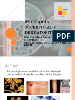 Micologia Superficial y Dermatofitosis - Presentacion1