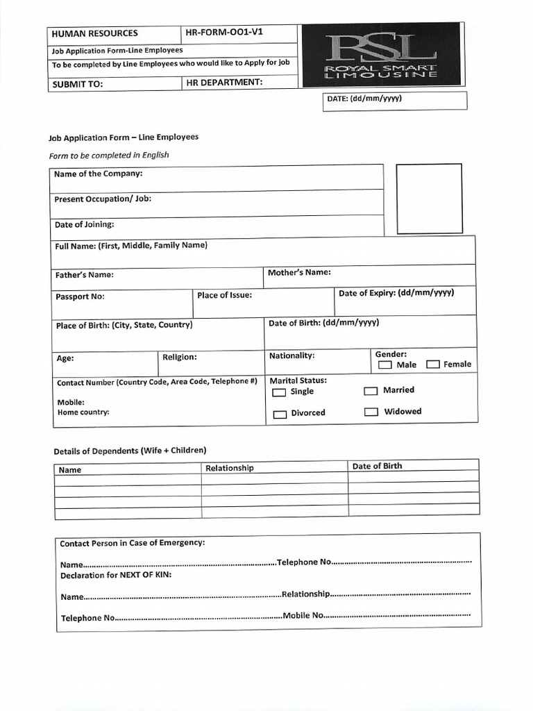 Visa Application Form | PDF