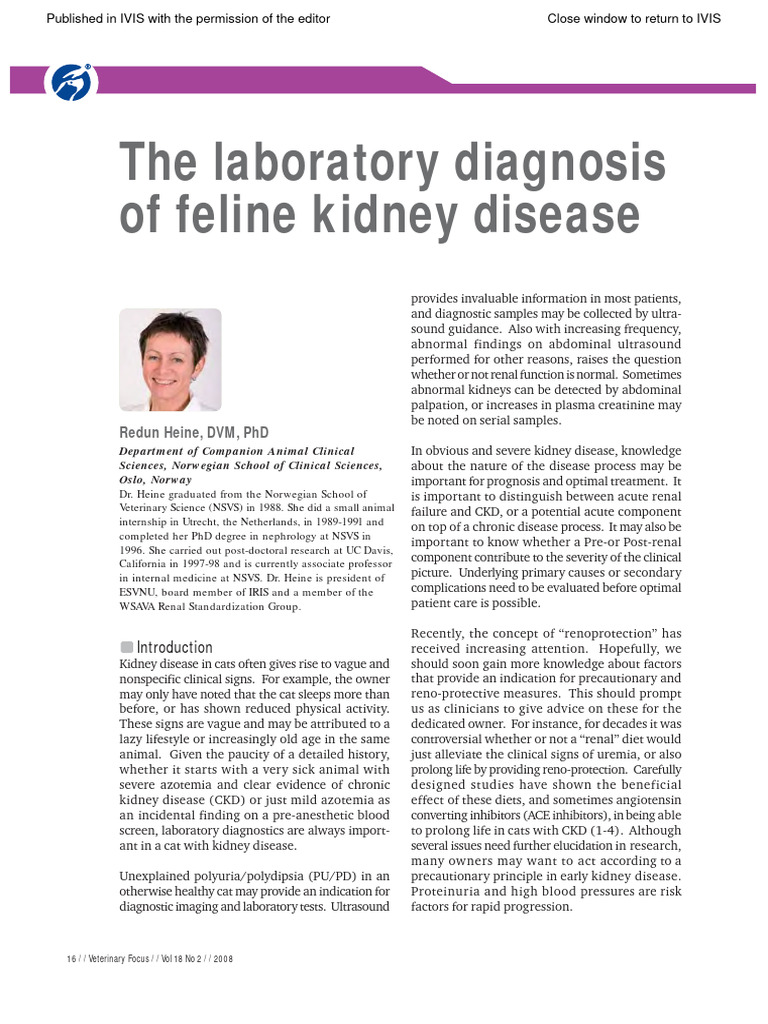 Curated visual reference: Fresh Look at Diagnosing Chronic Gastritis In Dogs Pdf Creatinine