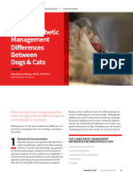 Top 5 Anesthetic Management Differences Between Dogs & Cats