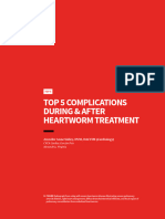 Top 5 Complications During & After Heartworm Treatment - Opt