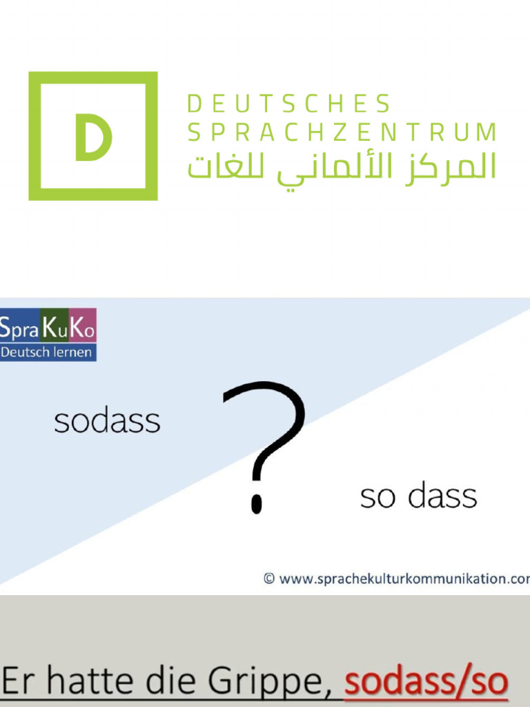 Sodass Und So Dass PDF