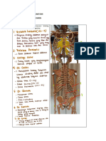 WS 1.5 Dinding Abdomen