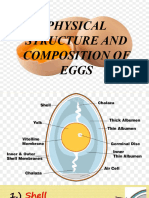 Physical Structure of Egg