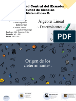 Determinantes (Origen)