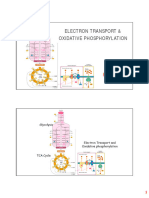 Electron Transport