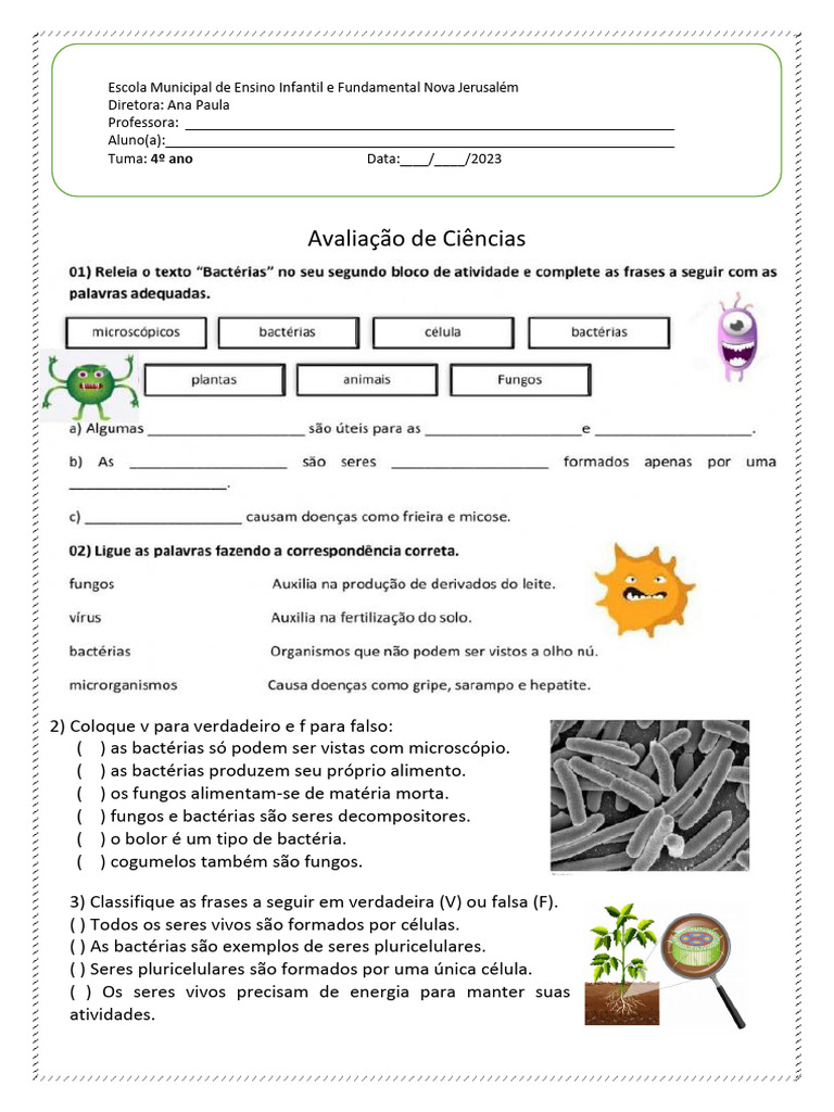 Atividades sobre Microrganismos 4º Ano | PDF | Microrganismo | Fungo