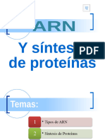 Síntesis de Proteínas