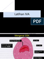 Pembacaan Hasil Iva