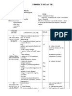 Proiect Didactic22