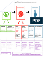 Modélisation Du Processus Neurovisuel PDF