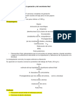 4-Alteraciones Del Término de La Gestación y Del Crecimiento Fetal