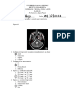 TArea Protocolo 1