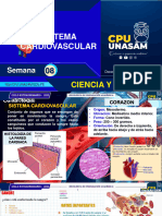 Sem 08 Sistema Cardiovascular