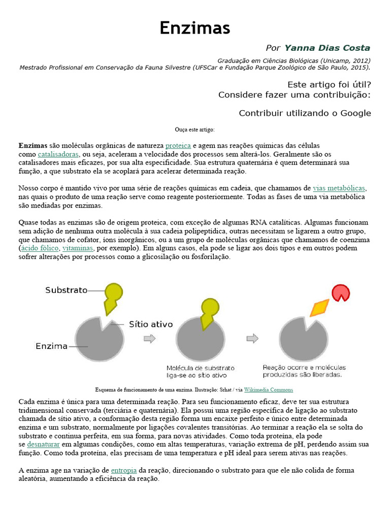 ENZIMAS - BIOQUÍMICA (ENSINO SUPERIOR) - TUDO SOBRE ENZIMAS - ESTRUTURA E  FUNÇÃO DAS ENZIMAS, image size:768x1024
