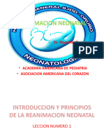Copia de ^n 8 Reanimacion Neonatal