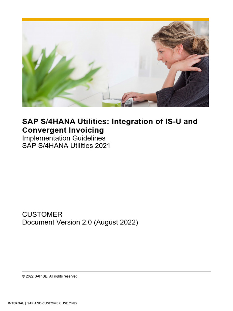 Implementation Guideline ISU2CI Integration | PDF | Invoice | Computing