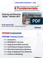 PIPESIM 2011 Training Fundamentals Labib 1