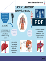 Importancia de La Anatomía Yfisiología Humana