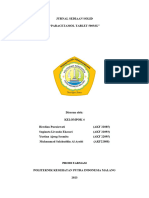 Portofolio Paracetamol Kelompok 4