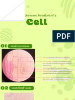 4.3 Cell Structure