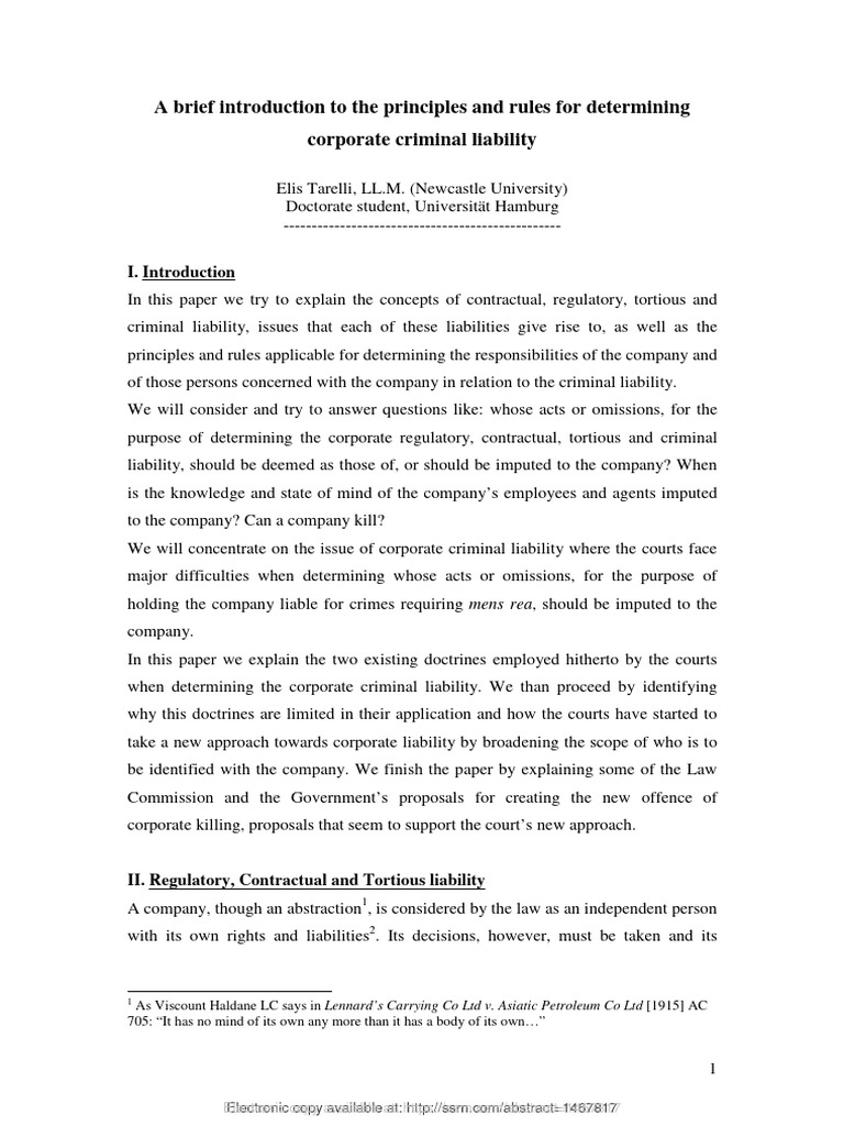 Basics of Identification Theory PDF Law Of Agency Legal Liability