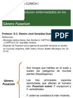 Fusarium en Ojos MCI