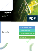 Soybean Diseases