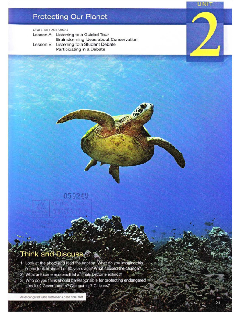 PATHWAYS 4 - Chapter 2 | PDF