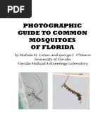 Download Mosquito Identification by Sudarshan Khandelwal SN67055466 doc pdf