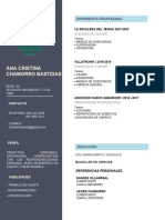 CURRICULUM Ana Crisitina Modificado