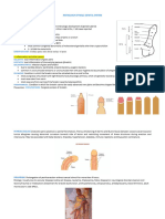 EM Male Genital Tract RG