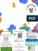 Folleto Tríptico Campaña Informativa de Fomento de La Lectura Colorido Infantil Azul y Amarillo