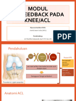 Modul - Semester - 4 - DR - RR - BF ACL
