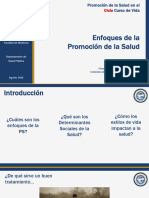 1.2 Enfoques Promoción