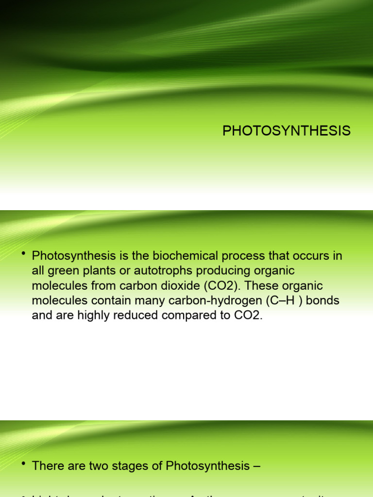 Last Minute Changes Everything You Need To Know About The Calvin Calendar - b29i2dh