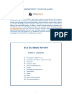 Due Diligence Report Format Sample