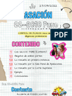 Casación 66-2010. Puno