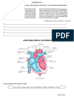 KARDIOLOGIA