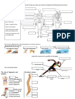 Skeletal Worksheet and KO