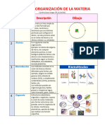 Niveles de Organización