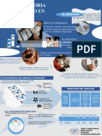 Infografia Auditoria Del Efectivo en Banco1