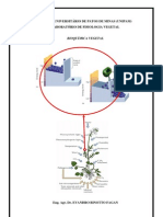 Bioquímica Vegetal 28 01 10