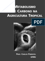 Metabolismo Do Carbono Na Agricultura Tropical